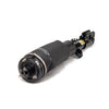 Arnott Air Suspension Strut Front Left AS-2796 thumbnail