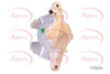 Apec Brake Caliper RCA311N thumbnail