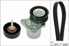 INA Drive Belt Kit 529039810 thumbnail