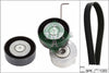INA Drive Belt Kit 529032010 thumbnail