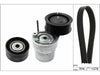 INA Drive Belt Kit 529031310 thumbnail