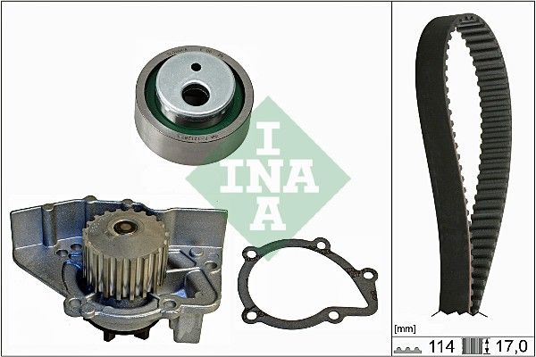 INA Timing Belt Kit & Water Pump 530025830 - image 2