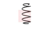Apec Coil Spring ACS1622 thumbnail
