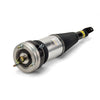 Arnott Air Suspension Strut Front AS-2855 thumbnail
