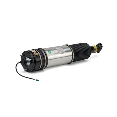 Arnott Air Suspension Strut Rear Left AS-2979