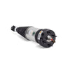Arnott Air Suspension Strut Rear AS-3234 thumbnail