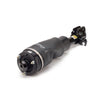 Arnott Air Suspension Strut Front Right AS-2795 thumbnail