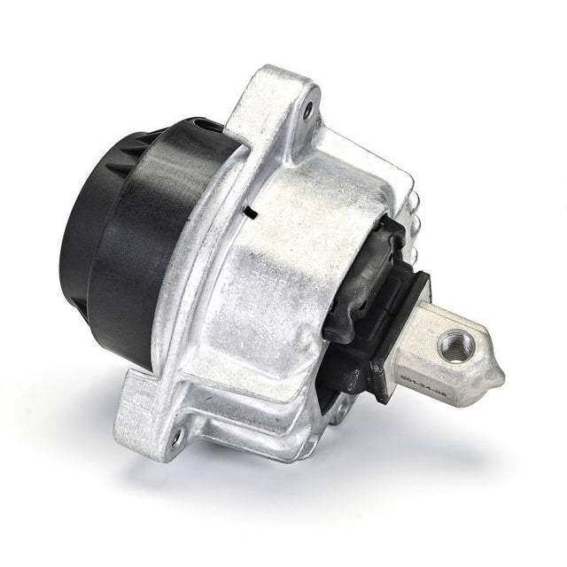 Delphi Engine Mount TEM255 - image 4