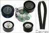 INA Drive Belt Kit 529036110 thumbnail