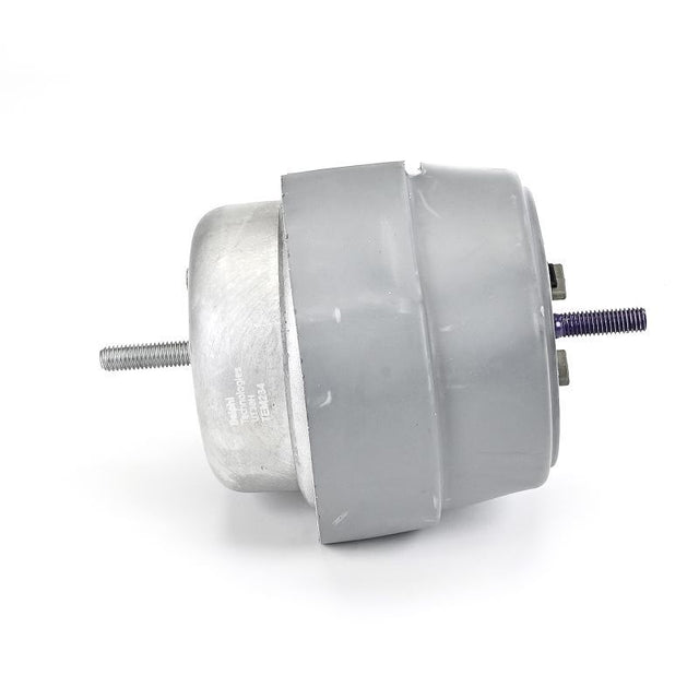 Delphi Engine Mount TEM234 - image 2