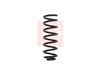 Apec Coil Spring ACS1607 thumbnail