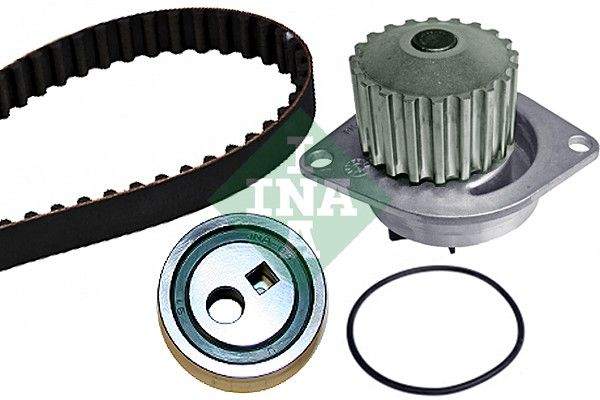 INA Timing Belt Kit & Water Pump 530025230 - image 2