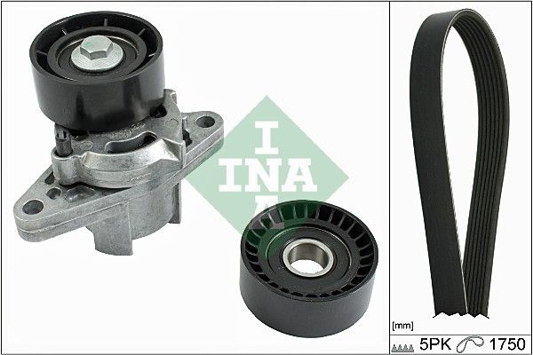 INA Drive Belt Kit 529008210 - image 2