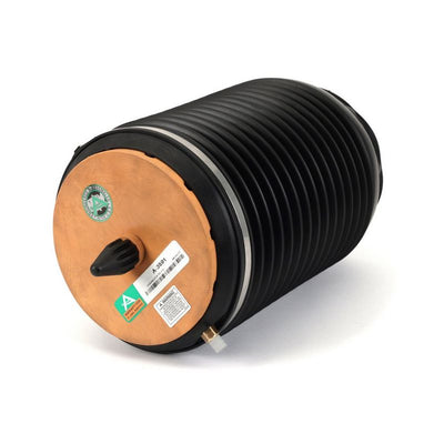 Arnott Air Spring Rear Right A-3891