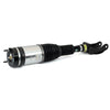 Arnott Air Suspension Strut Front Right AS-3410 thumbnail