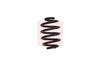 Apec Coil Spring ACS1613 thumbnail
