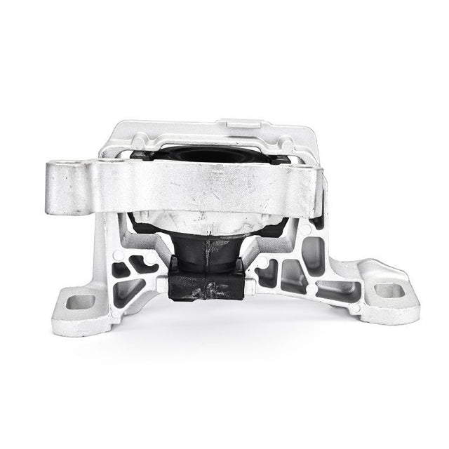 Delphi Engine Mount TEM137 - image 2