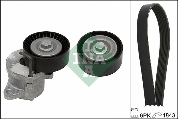 INA Drive Belt Kit 529035010 - image 2