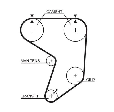 Timing Belt Gates PowerGrip® 5195XS - tradevehicleparts.co.uk
