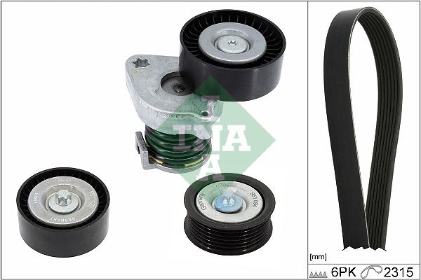 INA Drive Belt Kit 529044410 - image 2