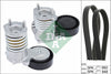 INA Drive Belt Kit 529049010 thumbnail