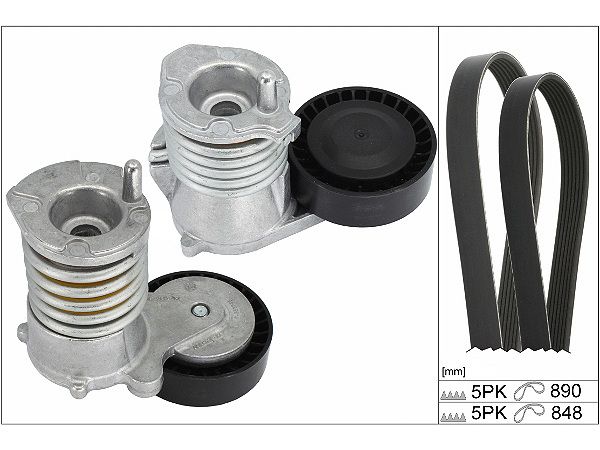 INA Drive Belt Kit 529047710 - image 2