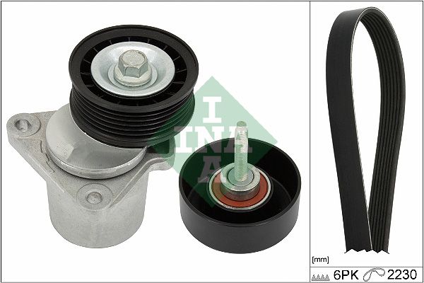 INA Drive Belt Kit 529039410 - image 2