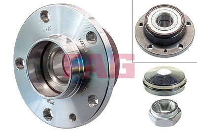 FAG Wheel Bearing Kit 713690980