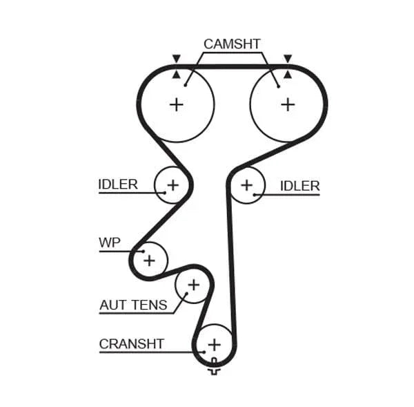 Gates Timing Belt PowerGrip 5542XS - image 2