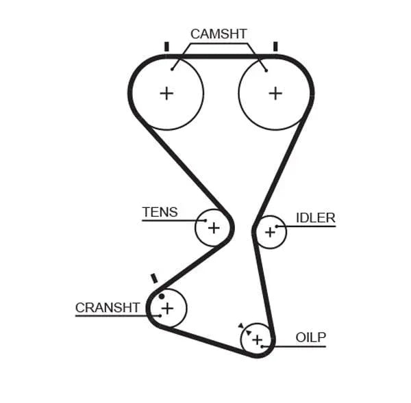 Gates Timing Belt PowerGrip 5556XS - image 2