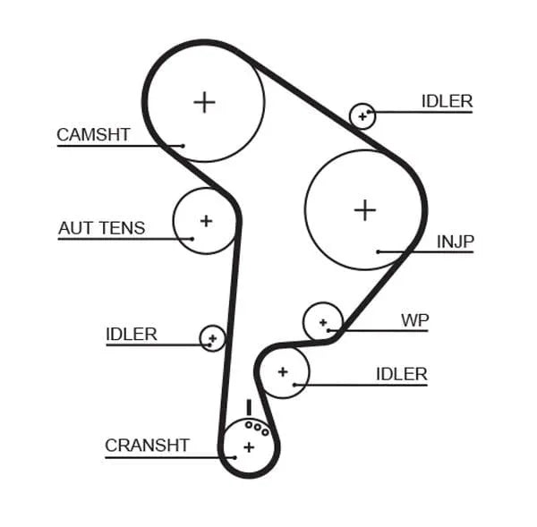 Gates Timing Belt PowerGrip 5559XS - image 2