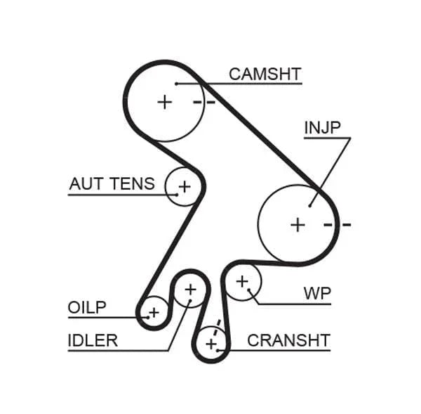 Gates Timing Belt PowerGrip 5562XS - image 2