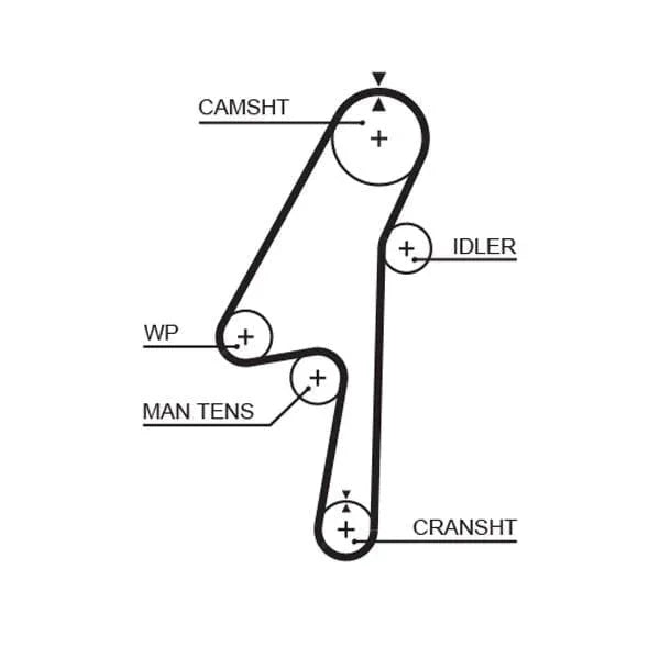 Gates Timing Belt PowerGrip 5580XS - image 2