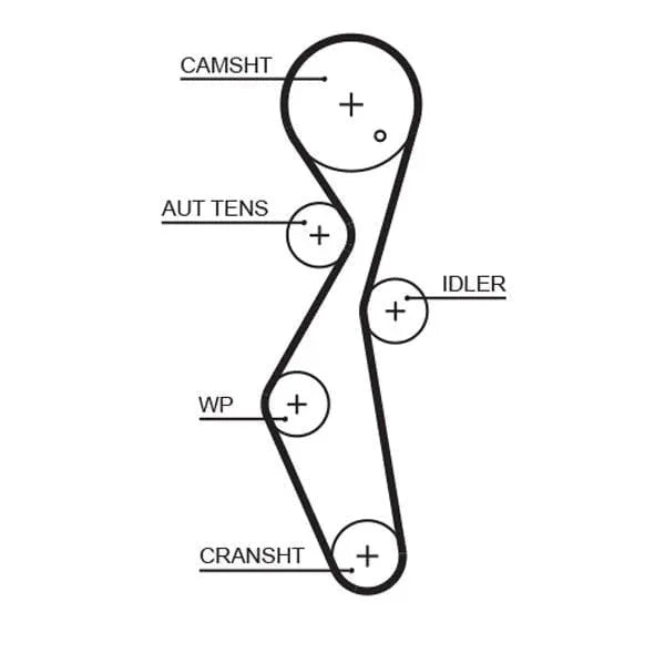 Gates Timing Belt PowerGrip 5672XS - image 2