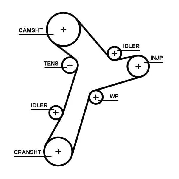Gates Timing Belt PowerGrip 5695XS - image 2