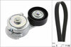 INA Drive Belt Kit 529001310 thumbnail