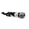 Arnott Air Suspension Strut Front Left AS-3578 thumbnail