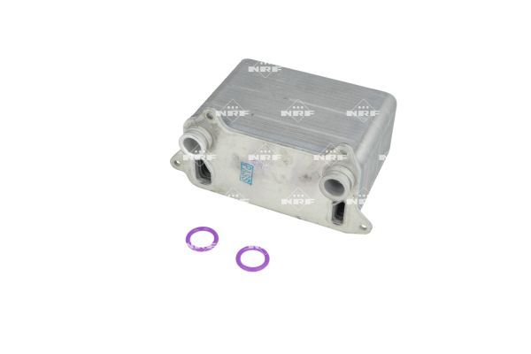 NRF Traction Battery Radiator 310505 - image 2