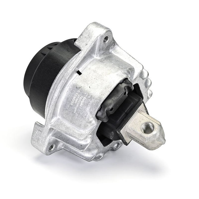 Delphi Engine Mount TEM255 - image 5