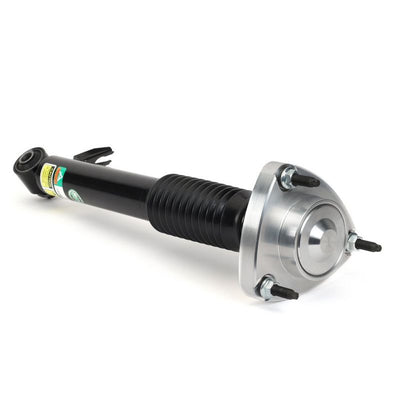 Arnott Shock Absorber Rear Right SK-3606