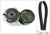 INA Drive Belt Kit 529025010 thumbnail