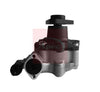 Apec Power Steering Pump APS1255 thumbnail