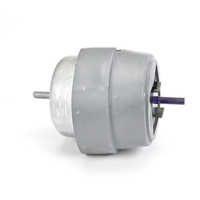 Delphi Engine Mount TEM234 - image 3