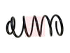 Apec Coil Spring ACS1756 thumbnail