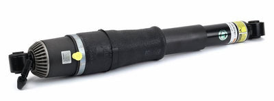 Arnott Air Suspension Strut Rear AS-3429