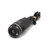 Arnott Air Suspension Strut Front Left AS-2962 thumbnail