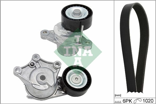 INA Drive Belt Kit 529032310 - image 2