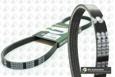 Dayco V-ribbed Belt 4PK900