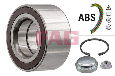 FAG Wheel Bearing Kit 713667960