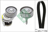 INA Drive Belt Kit 529034110 thumbnail